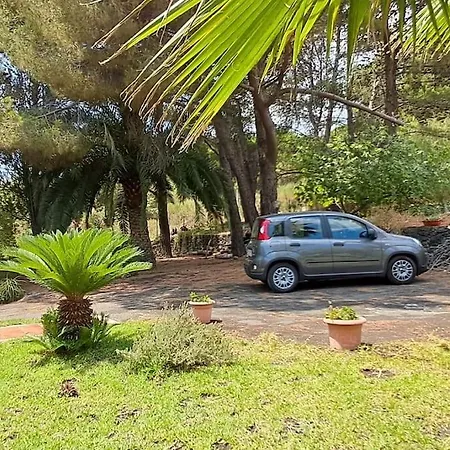 Terrazza In Collina