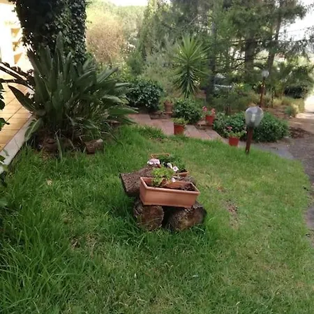 Terrazza In Collina فيلة *