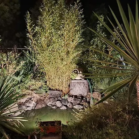 Terrazza In Collina