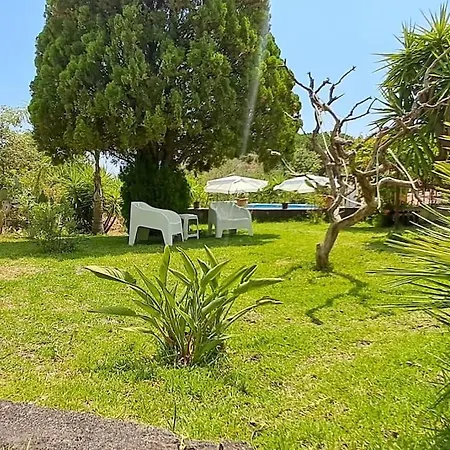 Villa Terrazza In Collina *